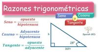 razones trigonométricas sen cos tan csc sec y cot - Grado 10 - Quizizz