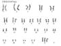 Karyotype Mutations