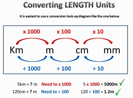 Converting Metric Units - Year 8 - Quizizz