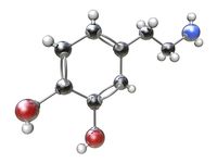 chemical bonds - Year 6 - Quizizz