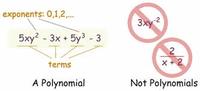 Polynomial Review