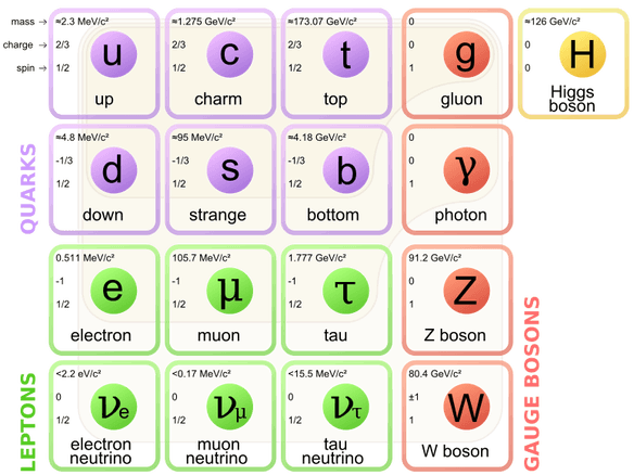 the-standard-model-in-physics-quizizz