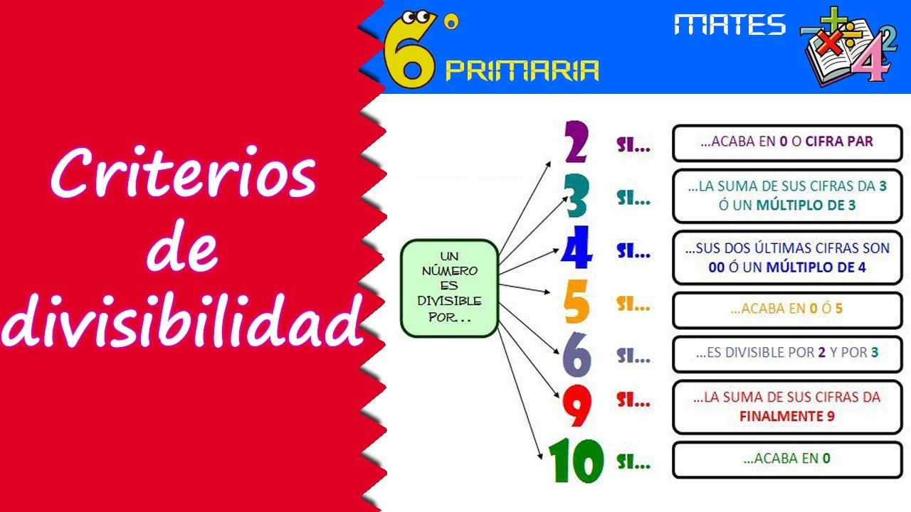 Reglas de divisibilidad Tarjetas didácticas - Quizizz