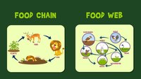 Food - Grade 2 - Quizizz