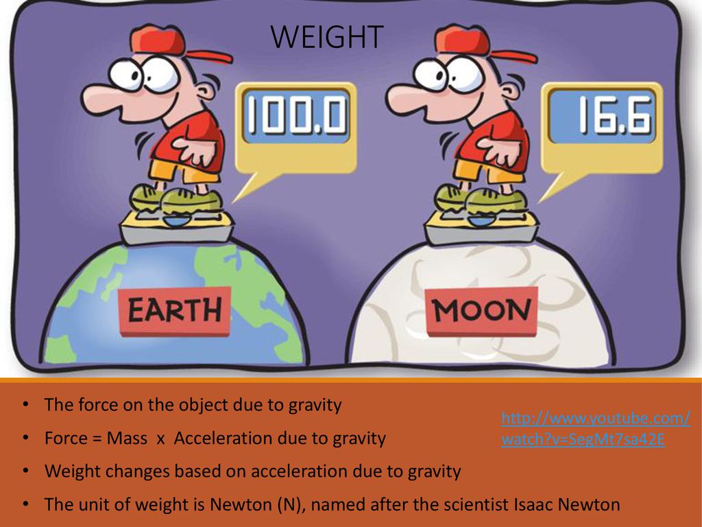 Weight And Gravity 