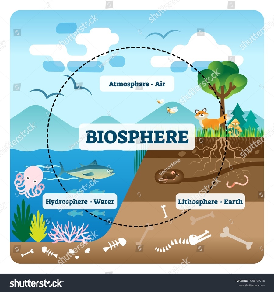 Biosphere Quizizz