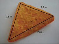 converse pythagoras theorem - Class 8 - Quizizz