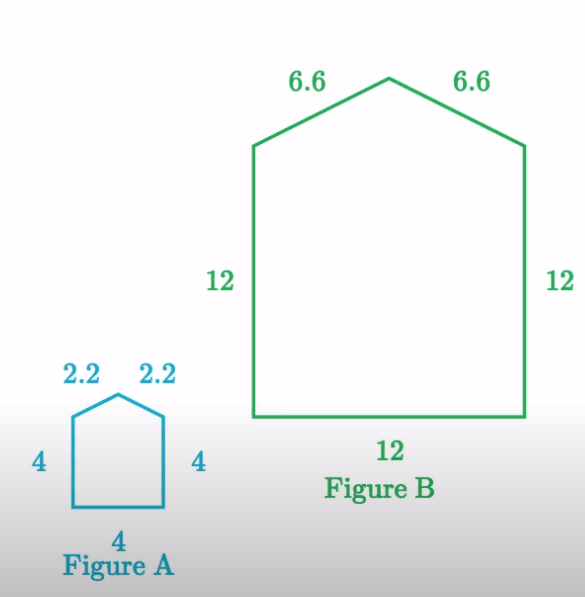 Scale Drawings | Mathematics - Quizizz