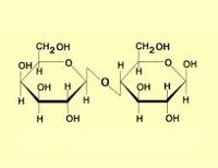 síntesis de arn y proteínas - Grado 11 - Quizizz