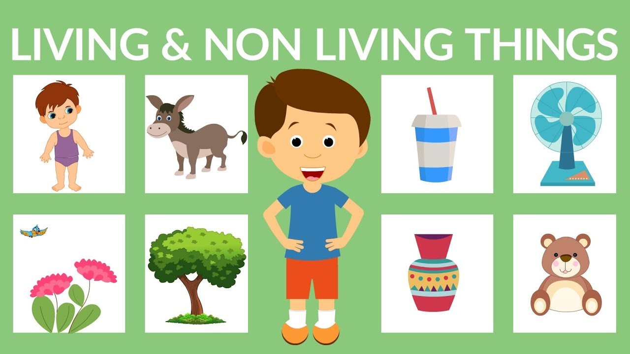 living and non living things - Year 3 - Quizizz