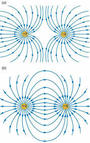 Magnetic and Electric Field Review