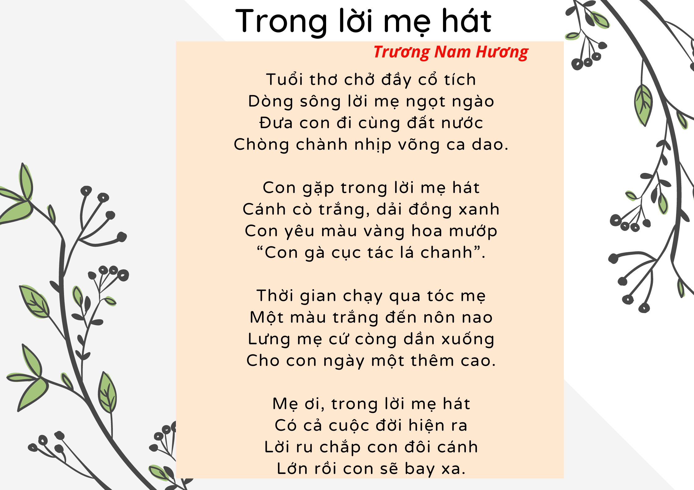 phương trình căn thức và hàm số - Lớp 4 - Quizizz