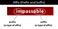 Suffixes Flashcards - Quizizz