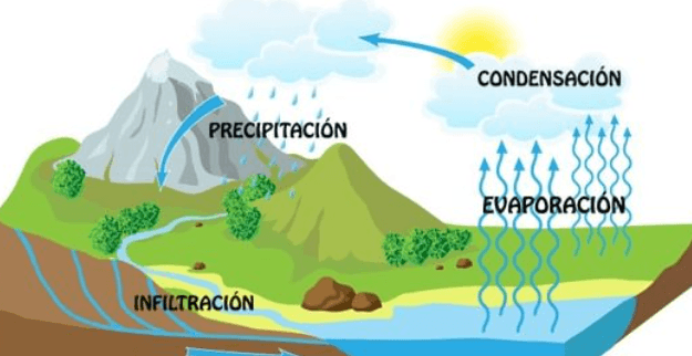 movimientos del agua del océano - Grado 5 - Quizizz