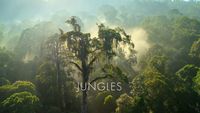 Our Planet: Jungles