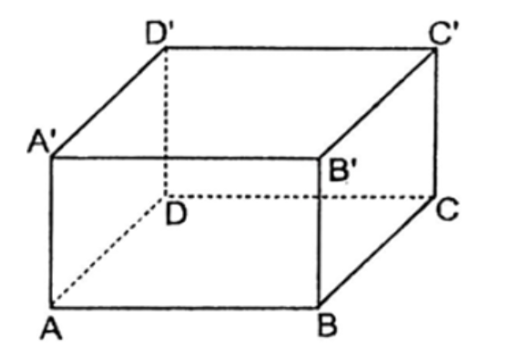 Thể tích của một lăng kính hình chữ nhật - Lớp 8 - Quizizz