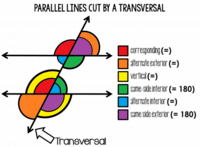 transversal of parallel lines - Grade 7 - Quizizz