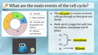 cell division - Year 8 - Quizizz