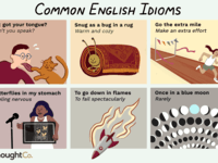 Idioms - Class 11 - Quizizz