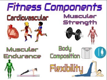 Fitness Components Quizizz