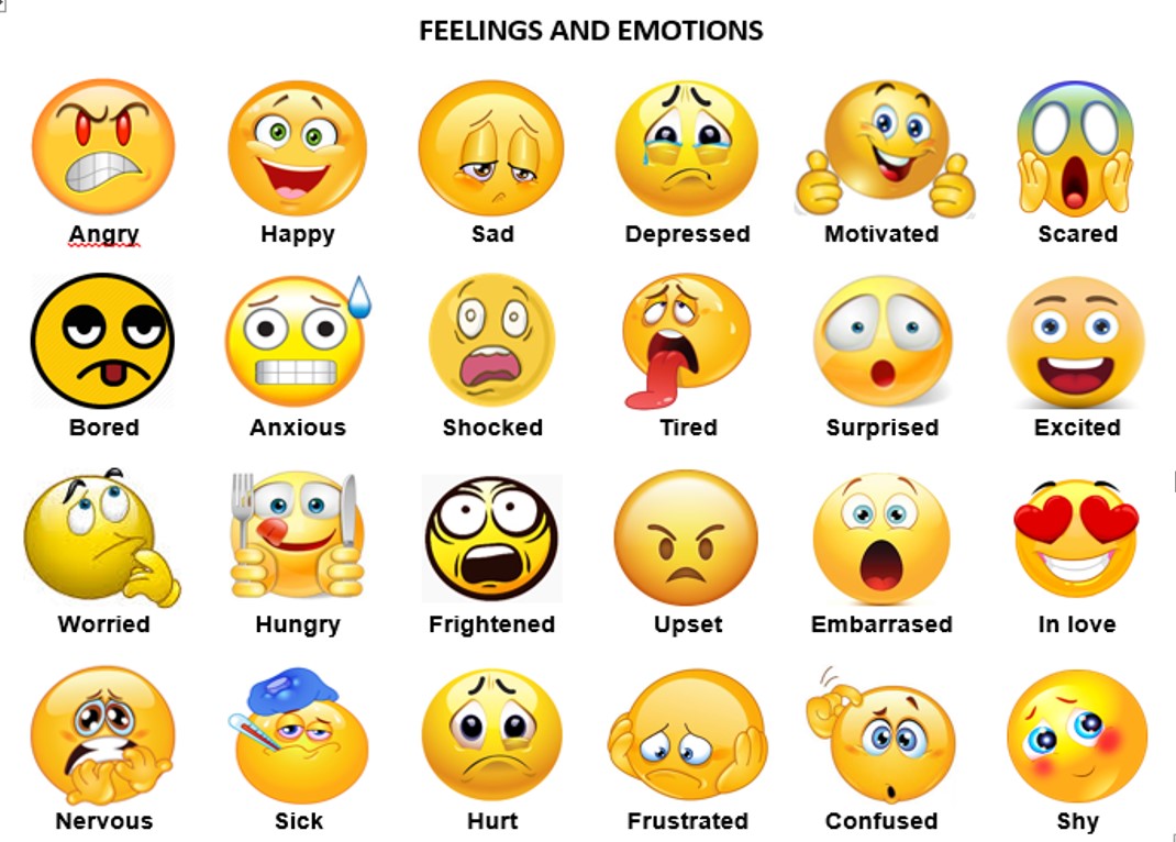 Feelings and Emotions | English - Quizizz