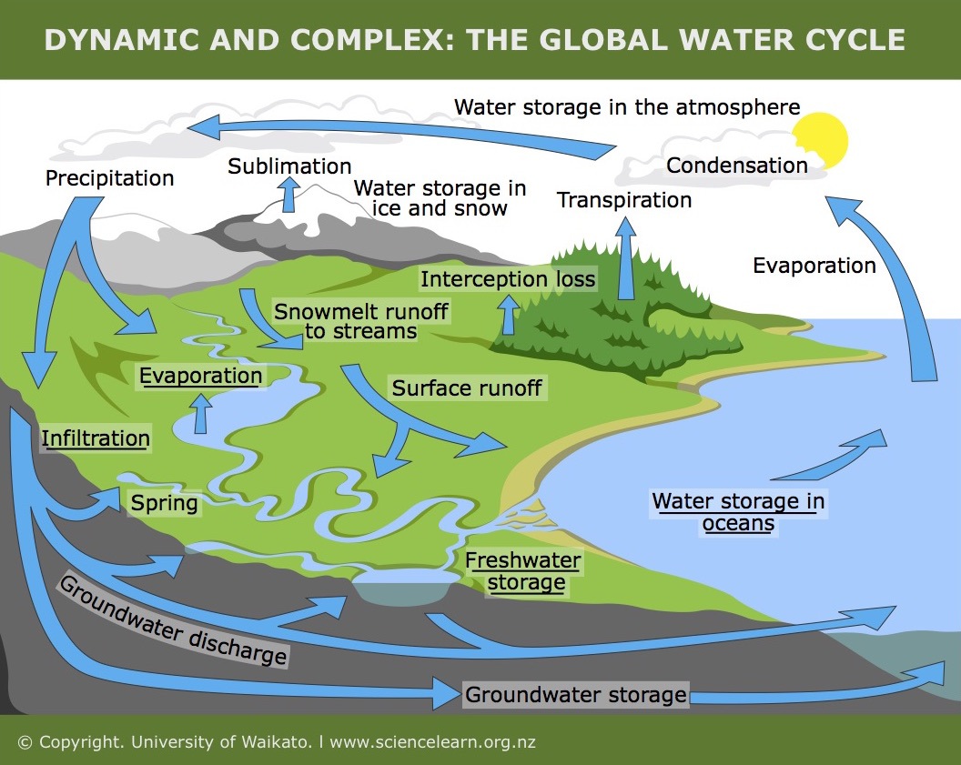 Hydrological Cycle