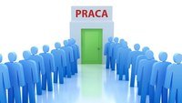 Organizacja i struktura pisania - Klasa 7 - Quiz