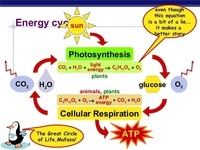 Energy - Year 9 - Quizizz