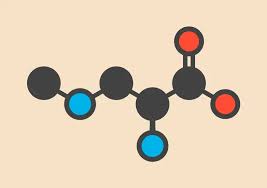 alcanos cicloalcanos e grupos funcionais - Série 8 - Questionário