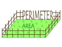 area and perimeter - Year 11 - Quizizz