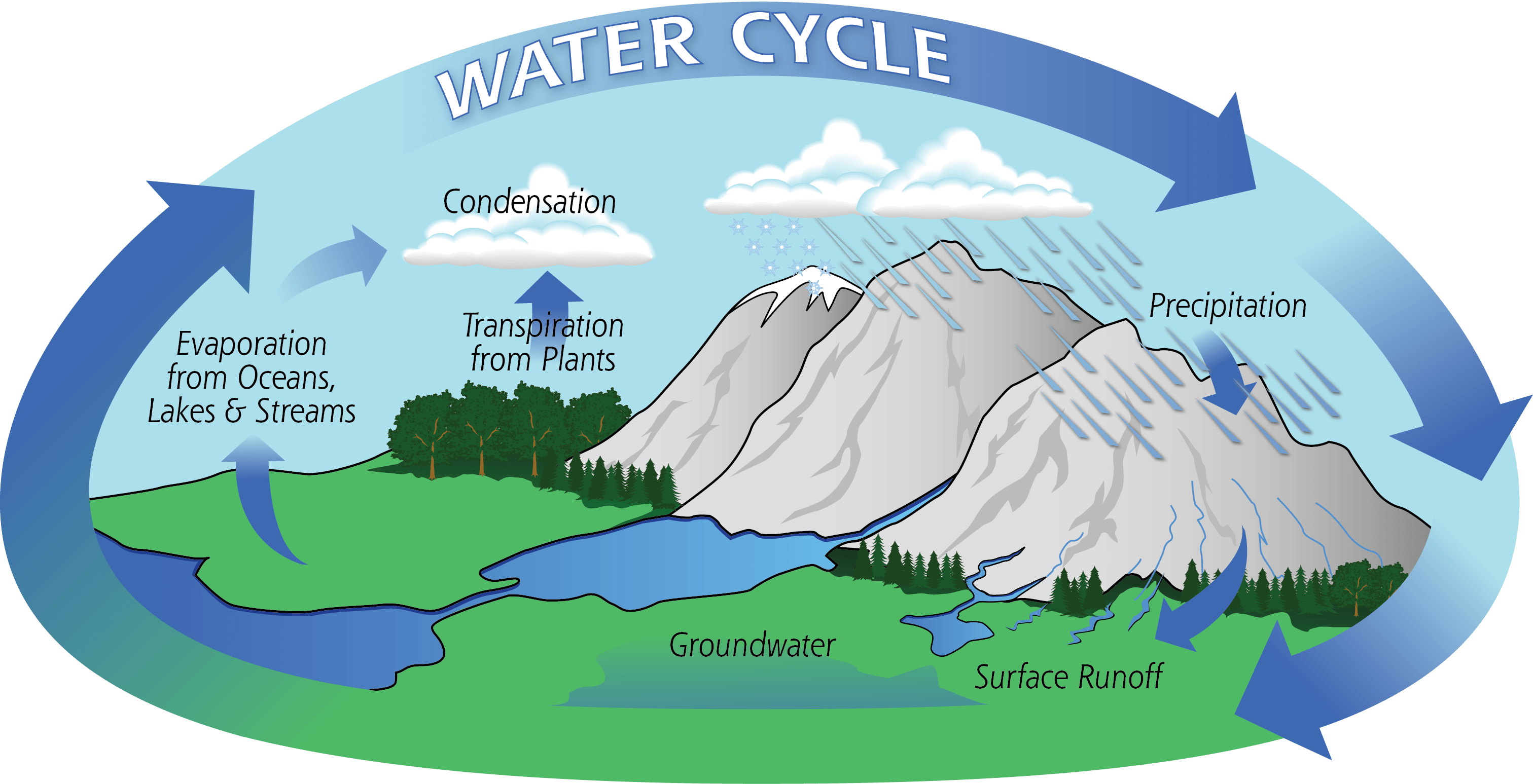 water-cycle-vocabulary-quiz-other-quiz-quizizz