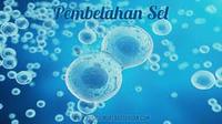 pembelahan sel Kartu Flash - Quizizz