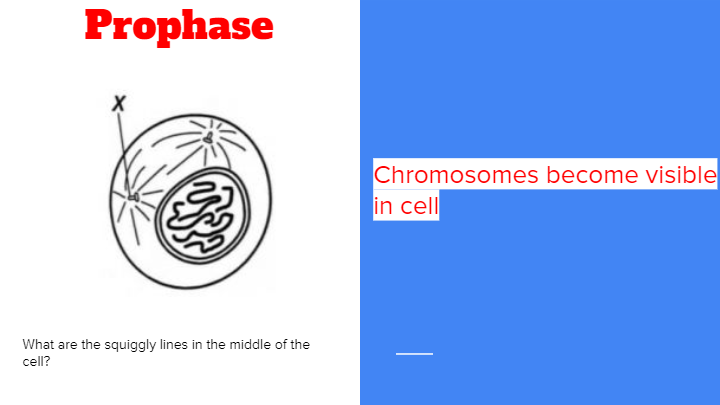 Biology Review- Mitosis Vs Meiosis | Biology - Quizizz