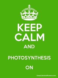 photosynthesis Flashcards - Quizizz