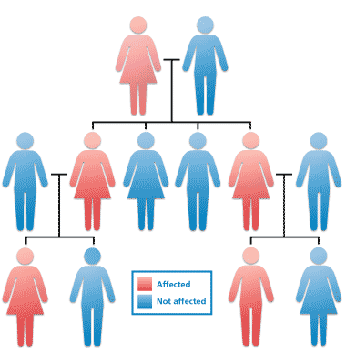genetics vocabulary genotype and phenotype - Class 5 - Quizizz