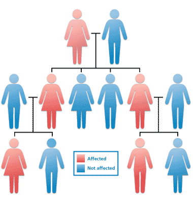 genetics vocabulary dominant and recessive - Year 5 - Quizizz