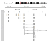 Text Analysis - Class 1 - Quizizz