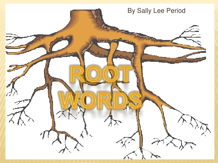 root-words-quiz-literature-quiz-quizizz