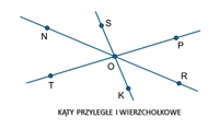 Kąty uzupełniające, uzupełniające, pionowe i przylegające Fiszki - Quizizz