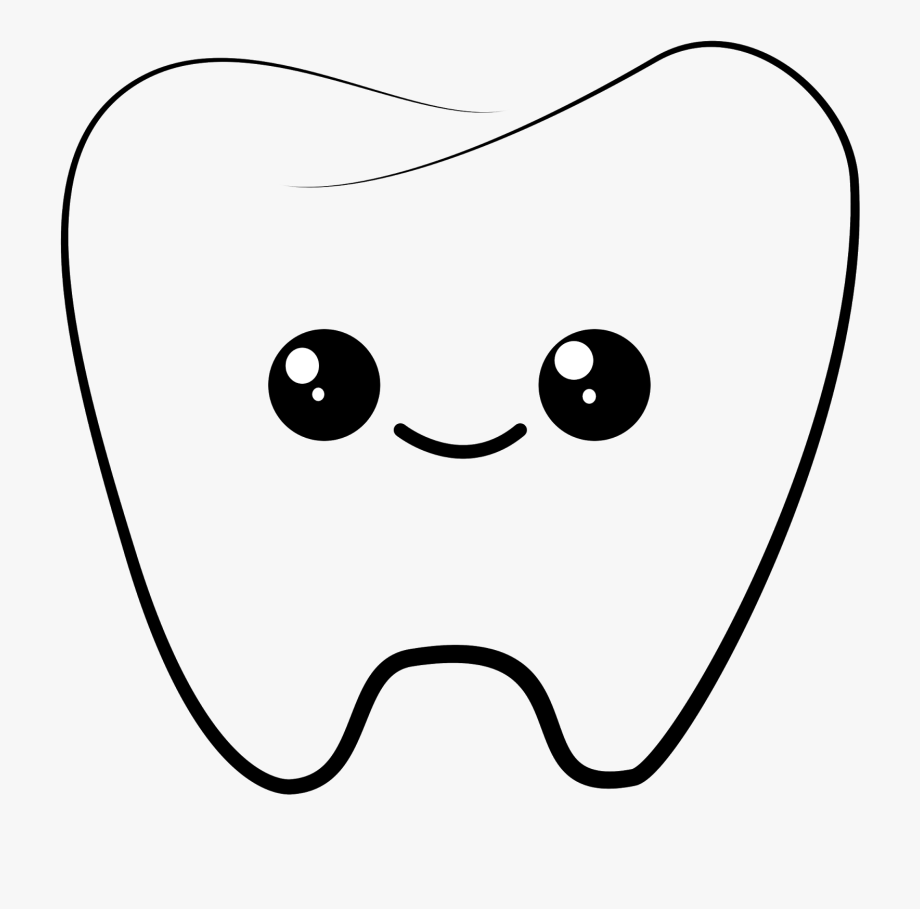 Transformaciones - Grado 3 - Quizizz