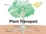 Transportation in Plants
