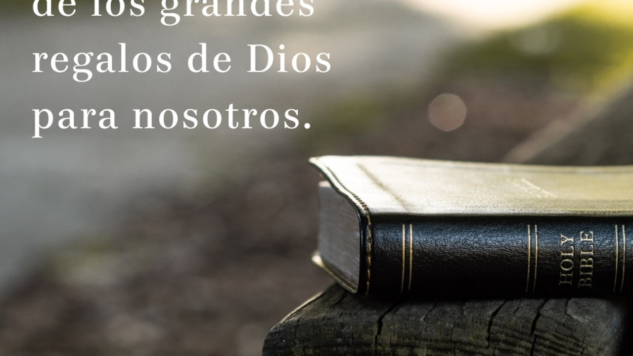 La Biblia | Quizizz