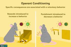 Operant Conditioning