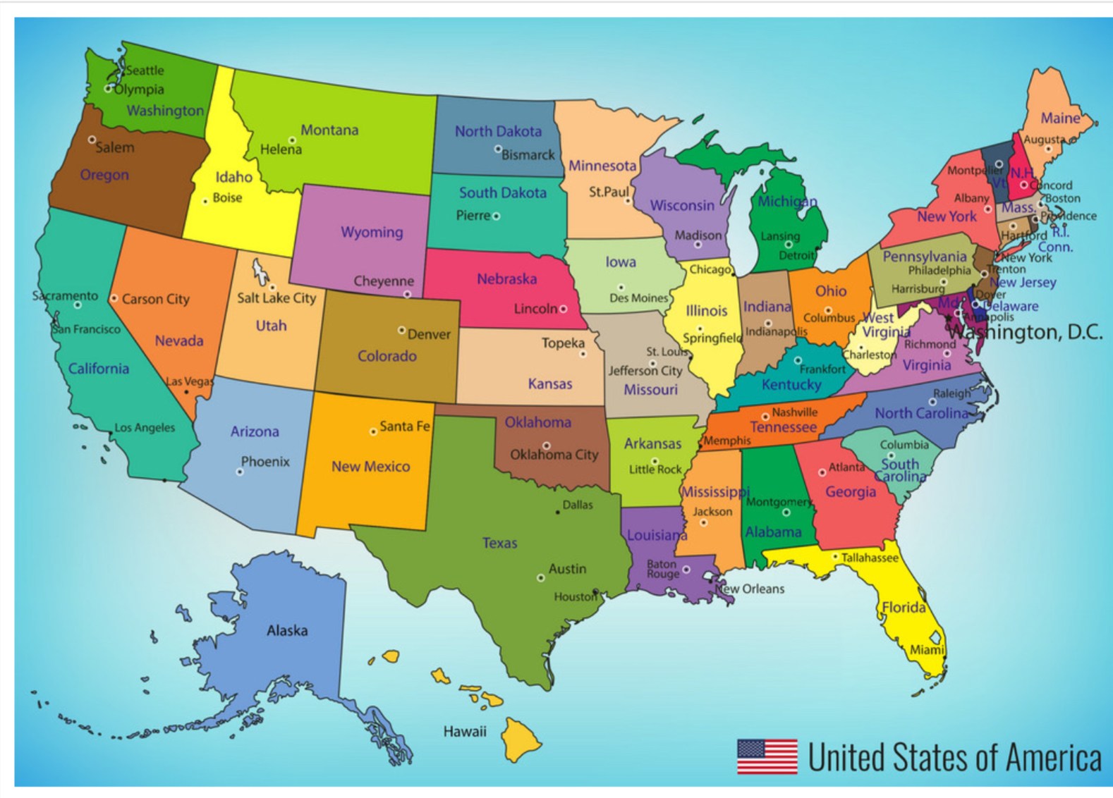 50 State Capitals | Social Studies Quiz - Quizizz