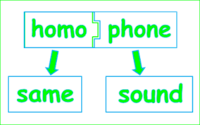 Homophones and Homographs - Grade 2 - Quizizz