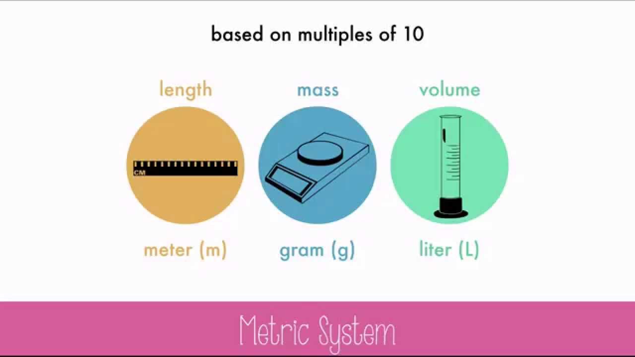 Length and Metric Units - Year 8 - Quizizz