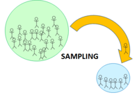 Sampling Methods | Statistics Quiz - Quizizz