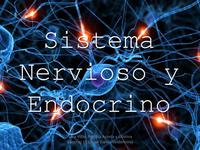 os sistemas nervoso e endócrino - Série 6 - Questionário