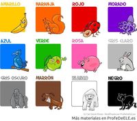 Colores - Grado 8 - Quizizz