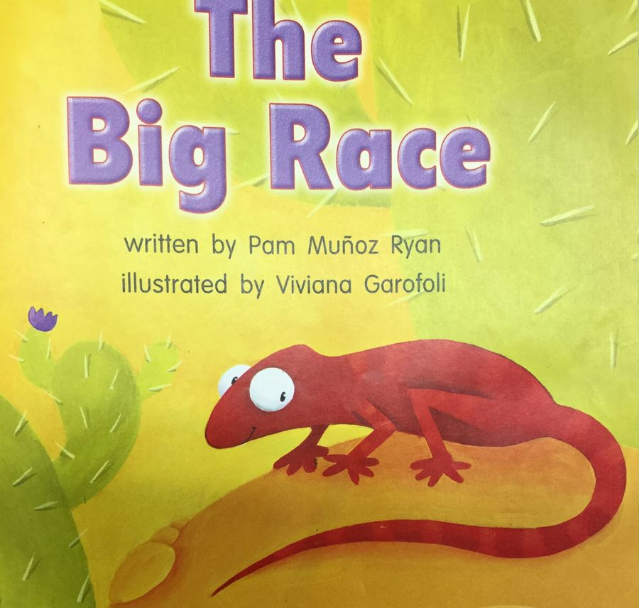 lesson-14-comprehension-the-big-race-112-plays-quizizz